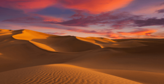 image article