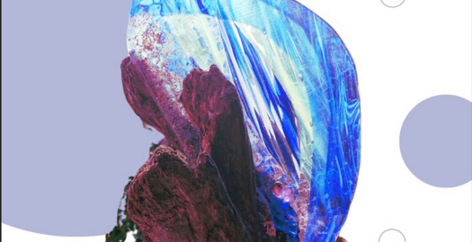 image article