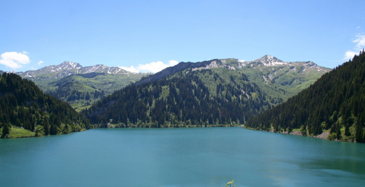 image article