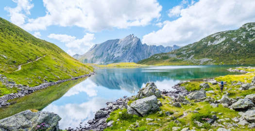 image article